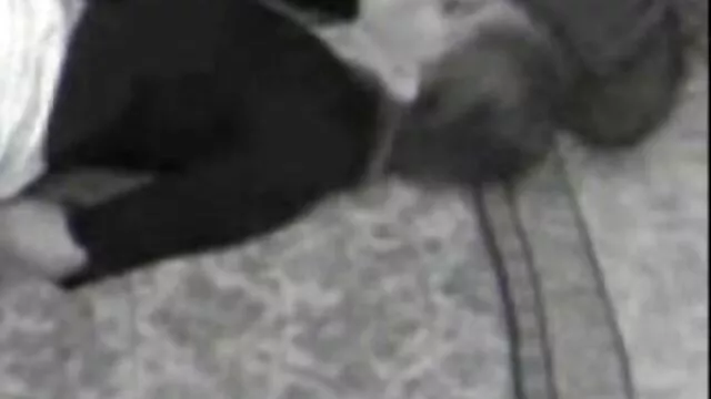 تقدیر هوس بلوند کون گنده روغنی نوجوان انگشتی