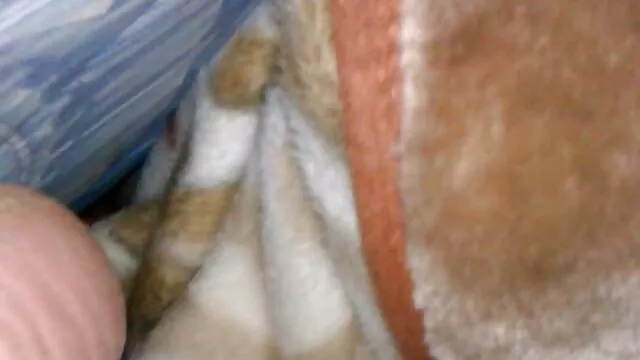 جوجه تاب دار sexروغنی آنا فاکس به سختی میخ می زند